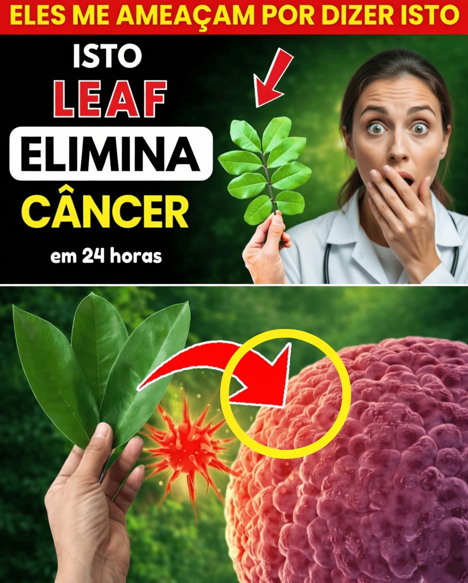 Os médicos não vão te contar sobre esta folha que DESTRÓI O CÂNCER (Não perca)