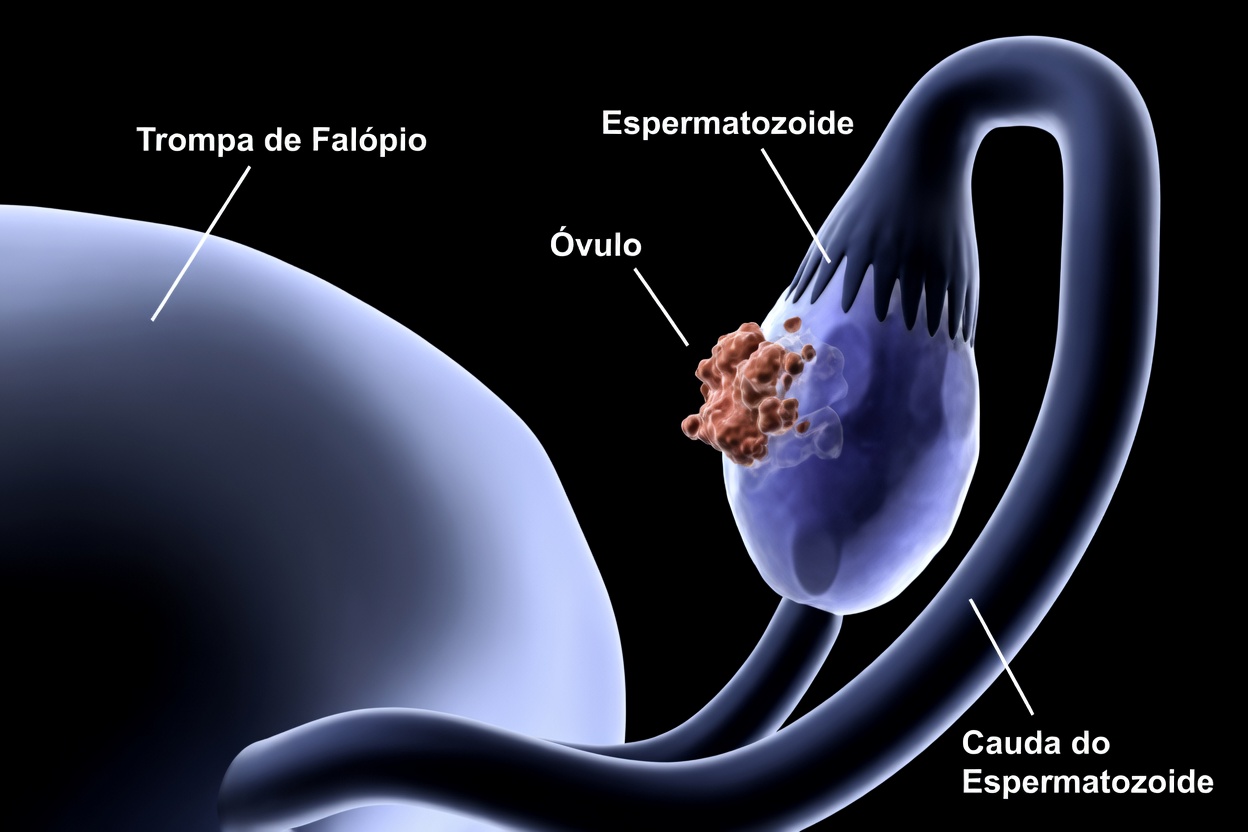 8 Sinais Silenciosos do Câncer de Ovário que Toda Mulher Precisa Conhecer (E Por Que a Conscientização Precoce Salva Vidas)