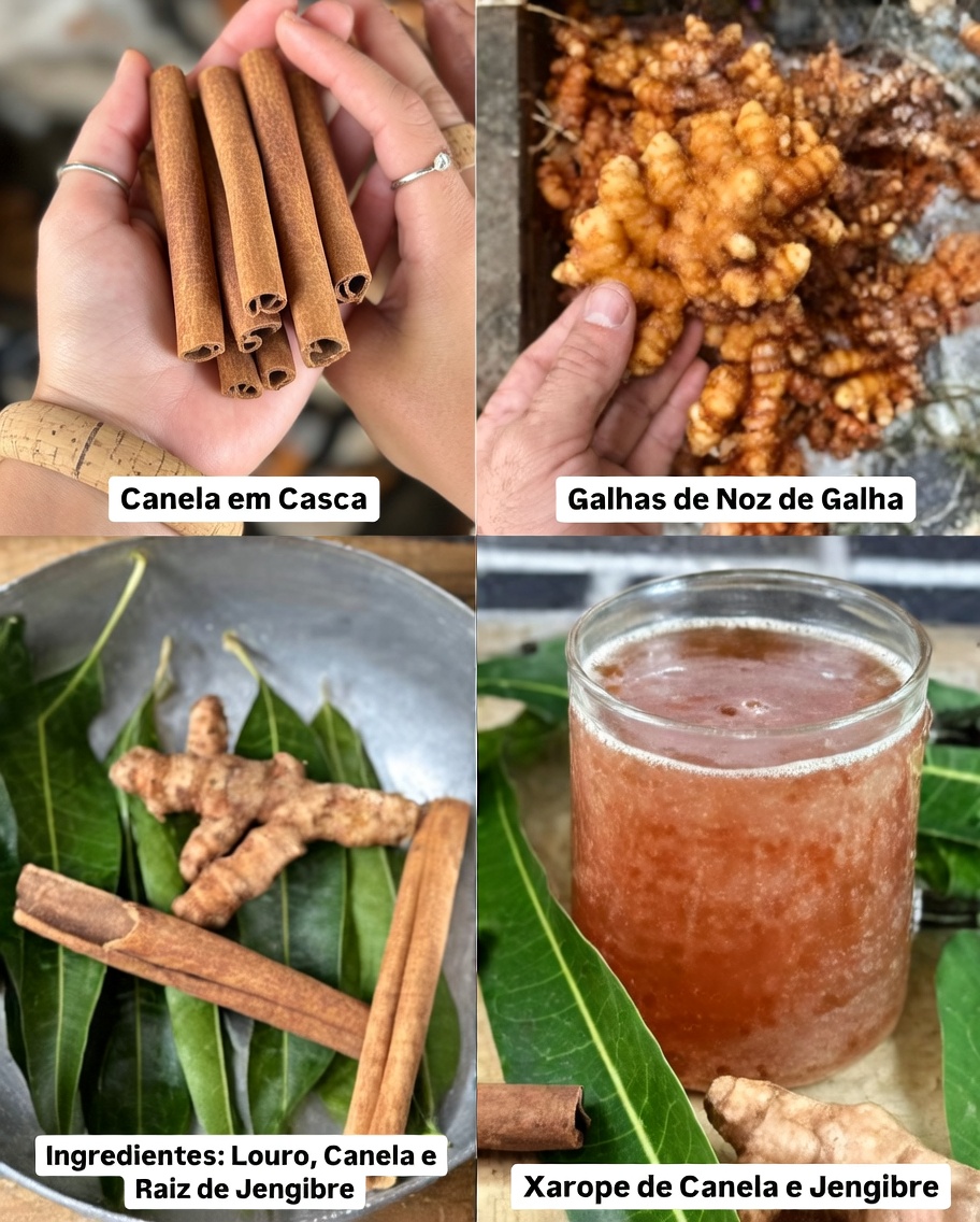 A Bebida Herbal Mágica para Diabetes, Circulação Sanguínea, Fígado Gorduroso e Dor Óssea