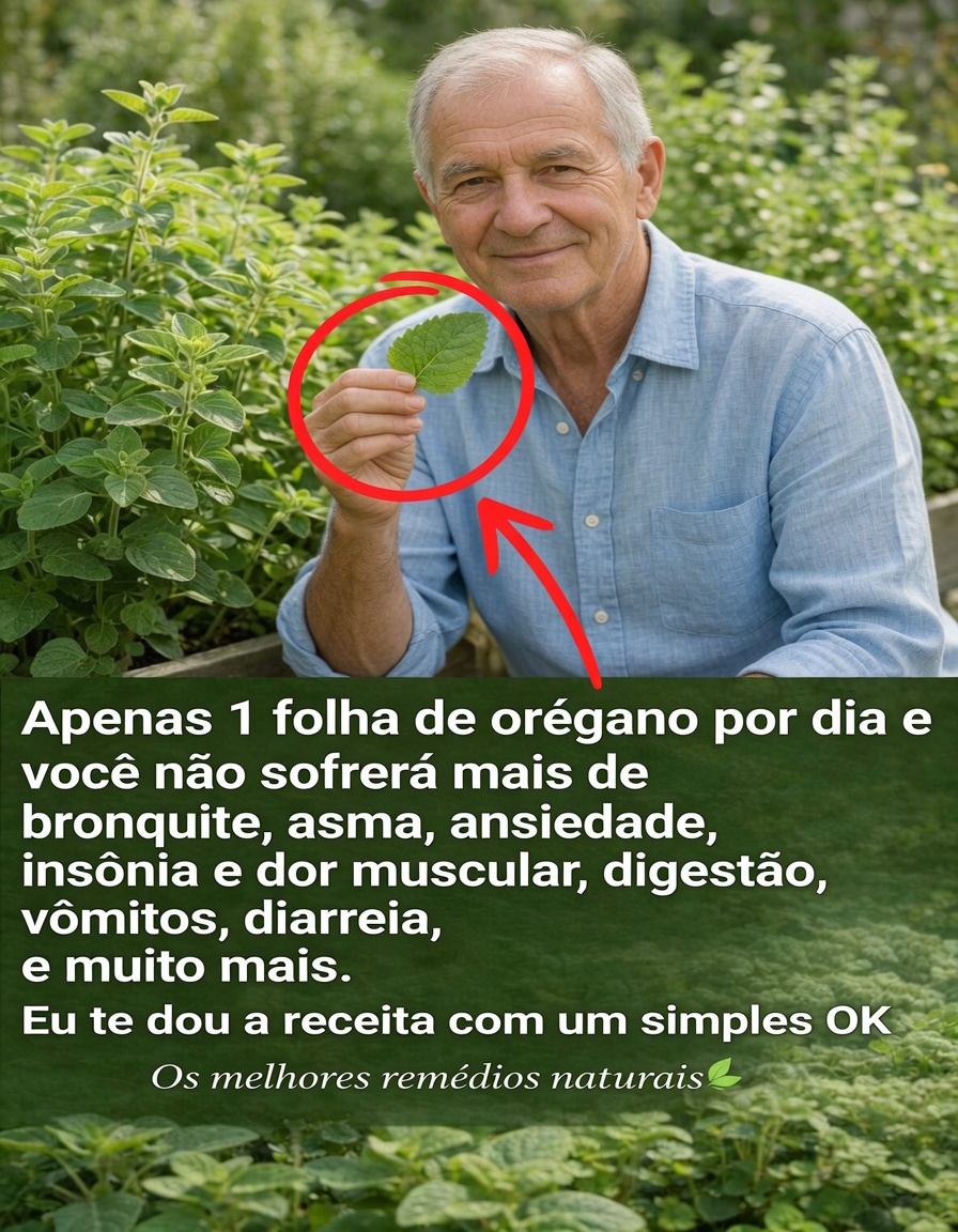 Uma Folha por Dia: O Poder Oculto do Orégano Orejón
