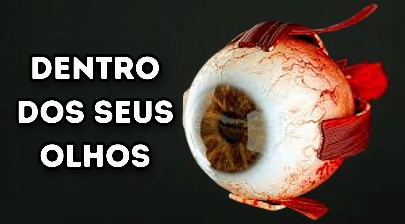 A fruta nº 1 que os idosos devem comer antes de dormir para ter olhos mais aguçados e saudáveis — e por que a maioria das pessoas erra completamente
