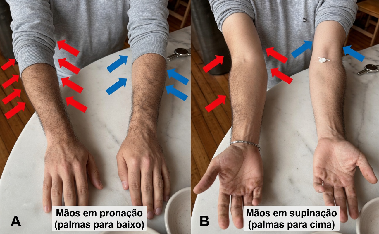 Efeitos Colaterais da Atorvastatina: 15 Preocupações Ocultas que Seu Médico Nem Sempre Menciona para Você Agora