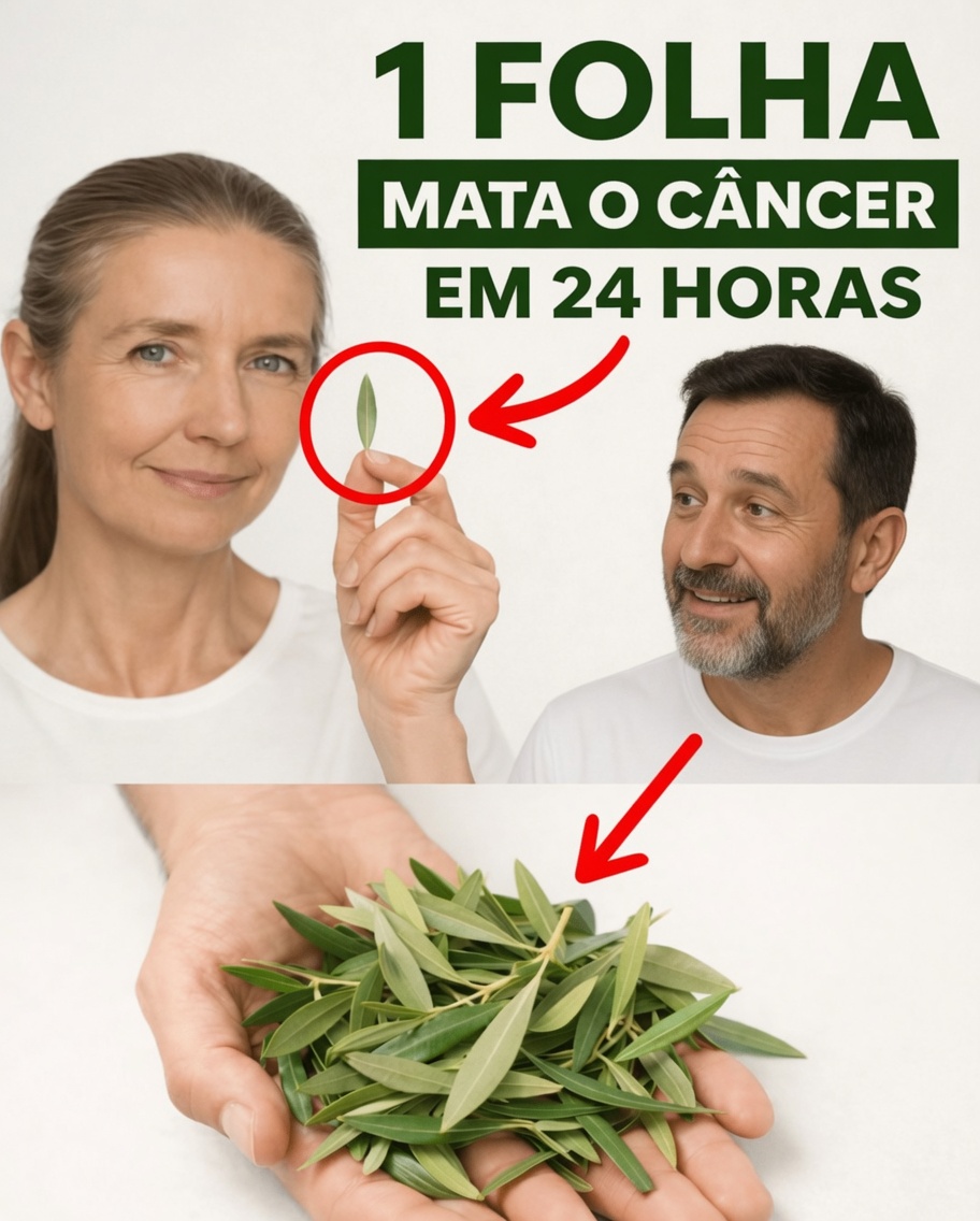 A Folha de que Todos Estão Falando: Explorando as Folhas de Graviola e Seu Potencial Papel no Bem-Estar