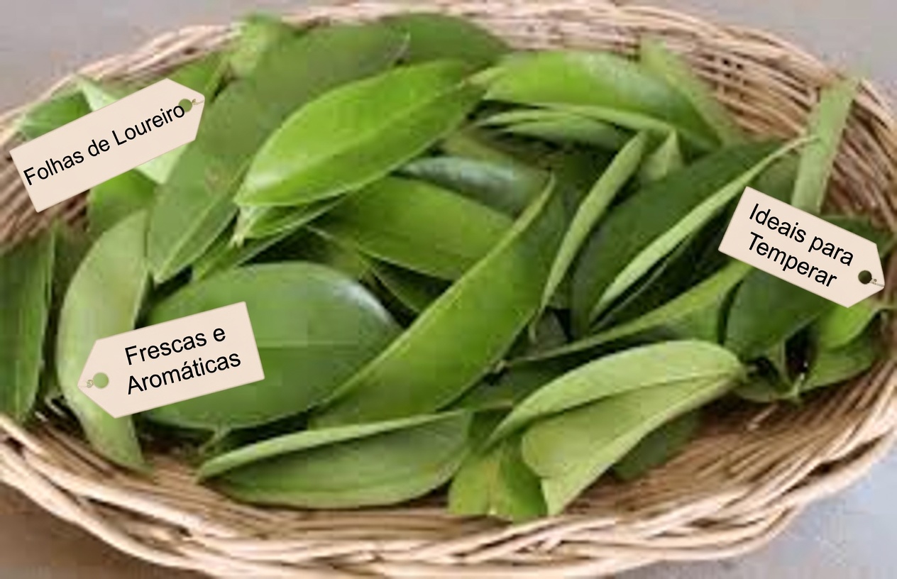 A Folha de que Todos Estão Falando: Explorando as Folhas de Graviola e Seu Potencial Papel no Bem-Estar