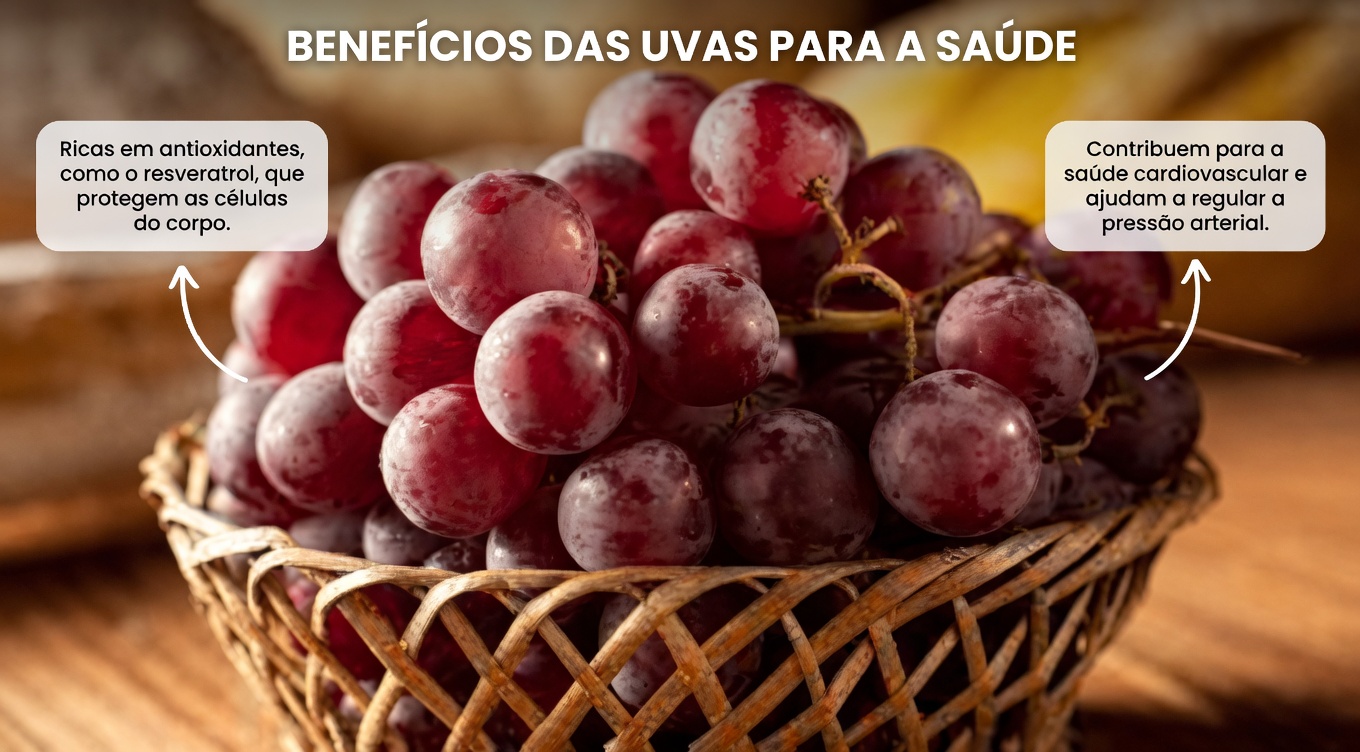 Creatinina Alta? 4 Frutas para Comer à Noite para Ajudar a Apoiar o Bem-Estar dos Rins para Quem Se Preocupa com Níveis Altos de Creatinina