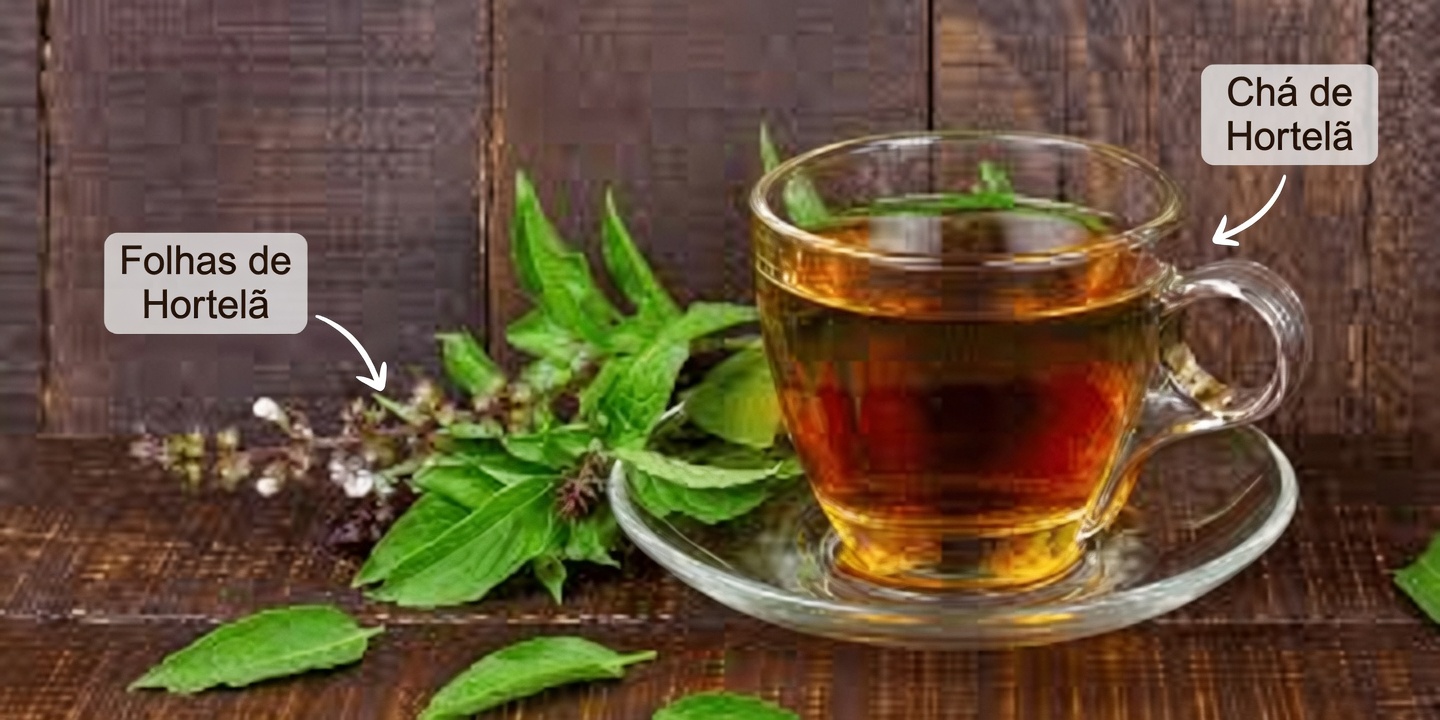 As 6 Ervas Poderosas que Podem Ajudar a Promover uma Circulação Saudável e Reduzir Naturalmente o Risco de Coágulos Sanguíneos