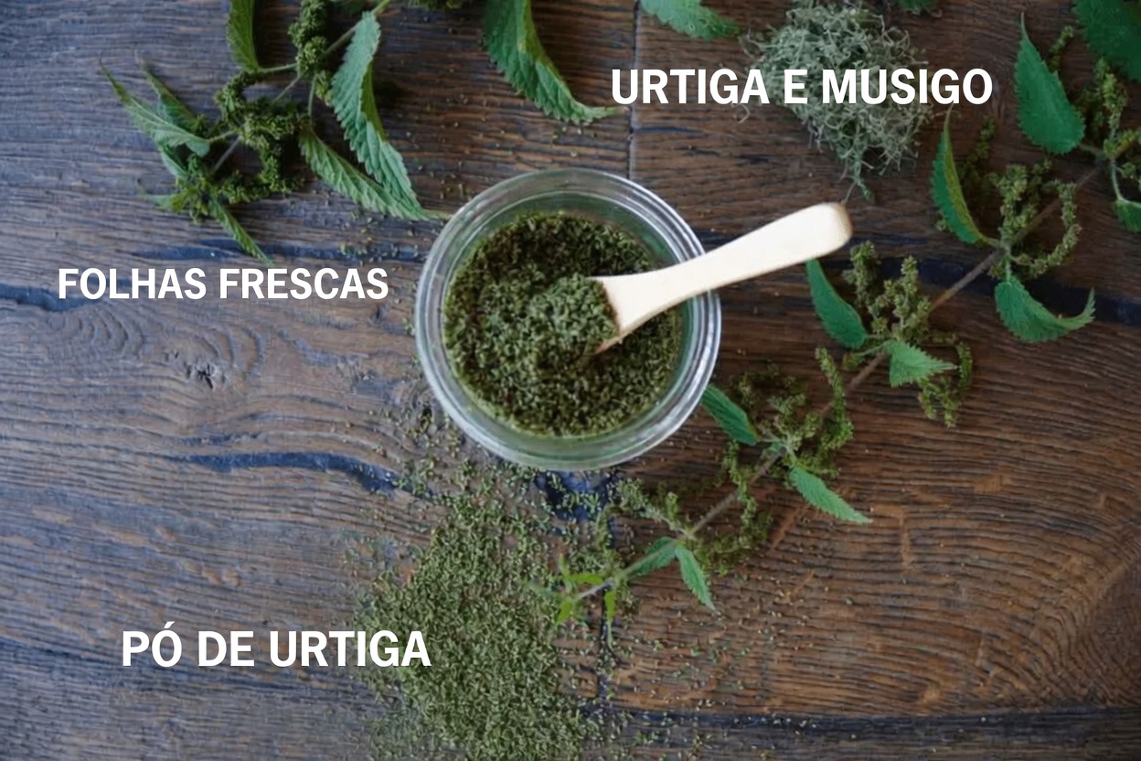 As Melhores Ervas para TRATAR a Próstata Aumentada (HPB) – Aliadas Ocultas da Natureza que Você Provavelmente Está Ignorando