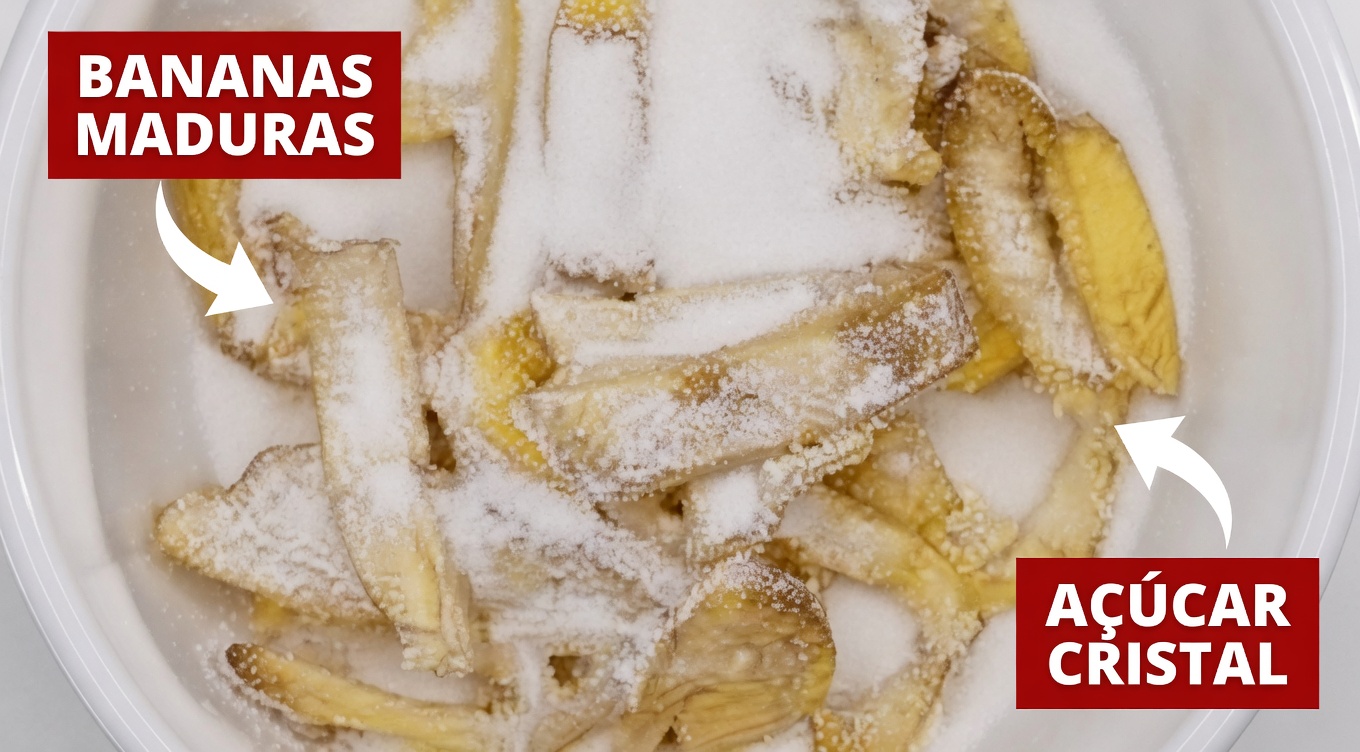 7 Maneiras Naturais de Suavizar Linhas Finas e Aumentar o Brilho da Pele Usando Cascas de Banana