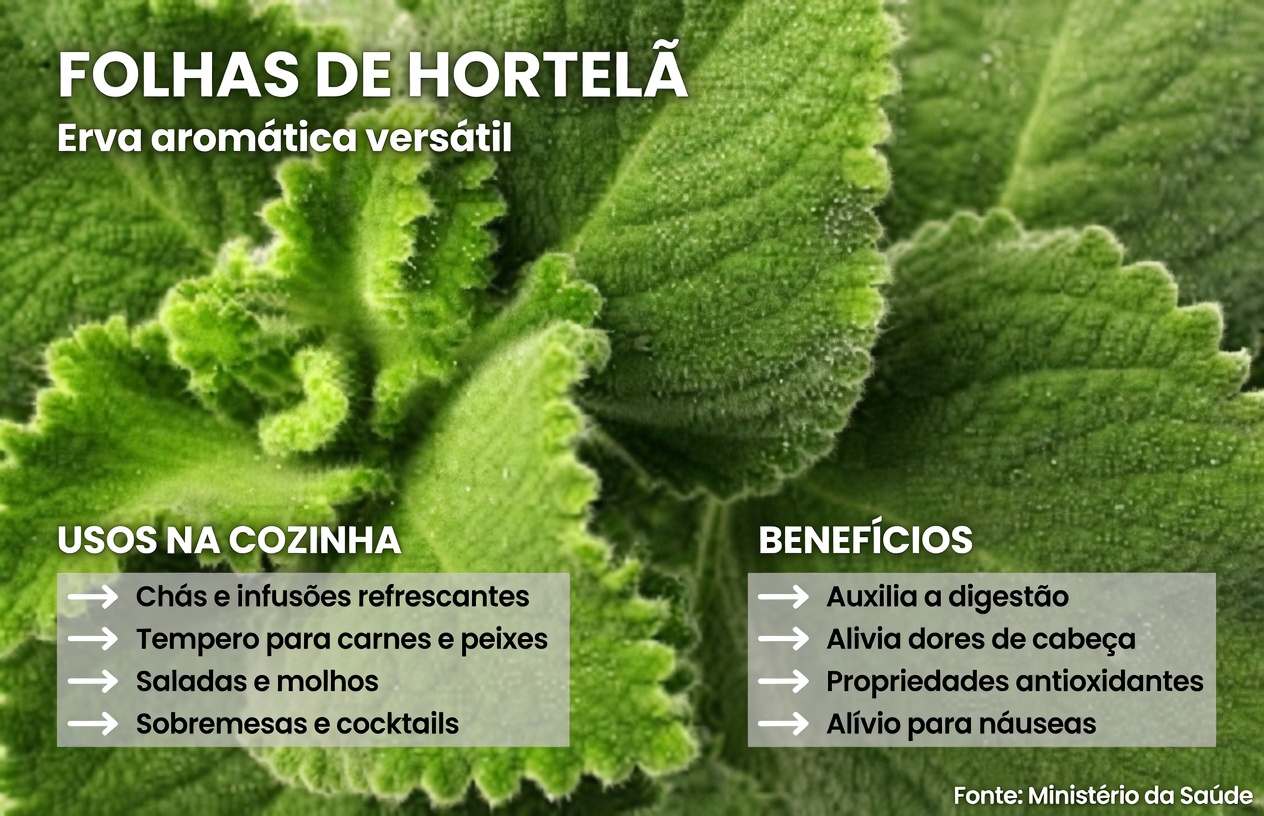 Descubra o Orégano Orejón: a erva pouco conhecida que pode ajudar a manter uma visão saudável no dia a dia