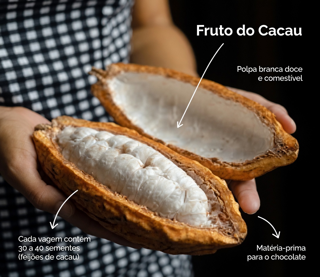 Médico diz que manter isso debaixo da língua por 30 segundos ajuda seu coração, o fluxo sanguíneo e o açúcar no sangue