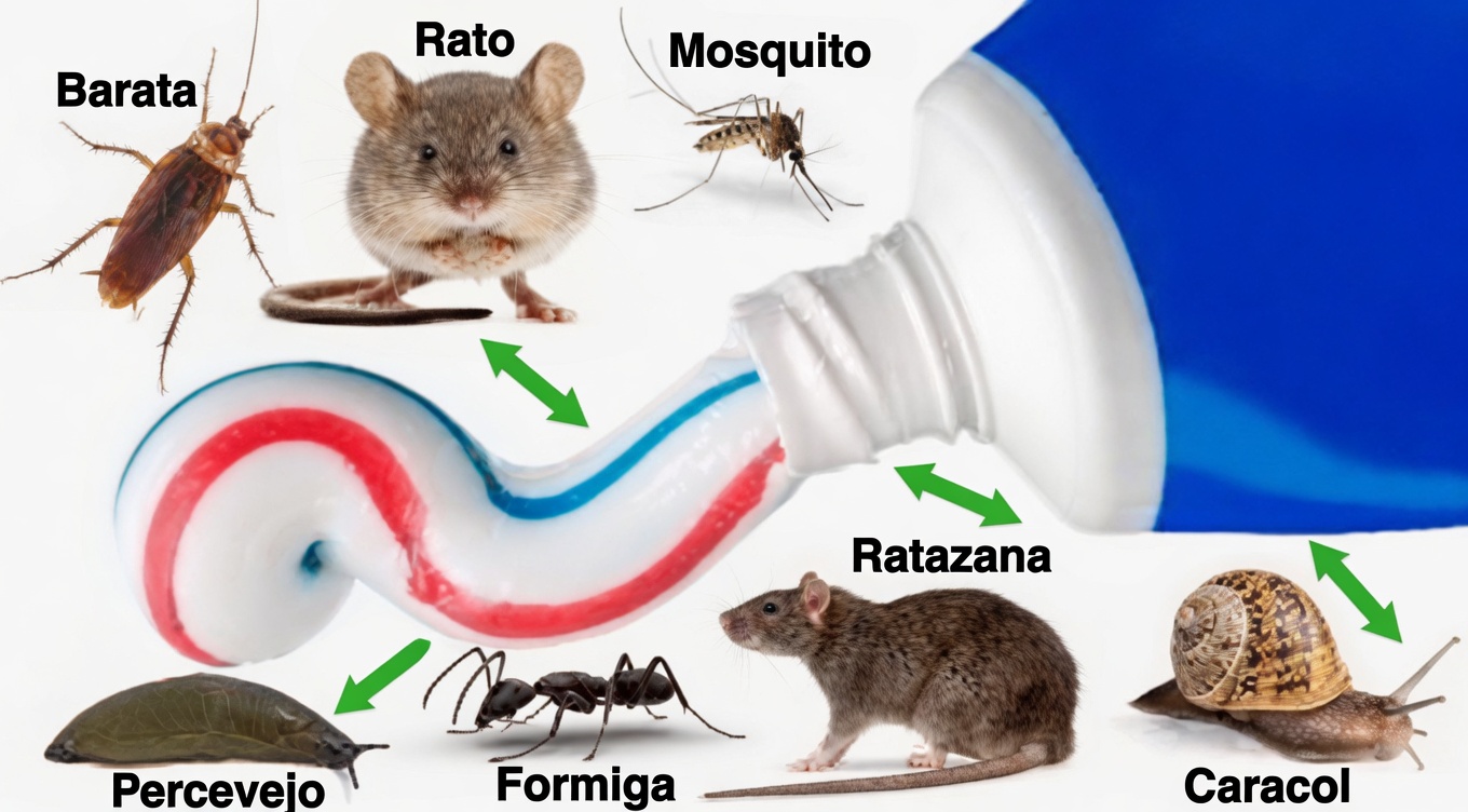 Segredo Chocante Revelado: Pasta de Dente Pode Ser Sua Arma Definitiva Contra Ratos, Baratas e Formigas!
