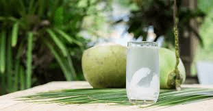 Bebida Natural para Apoio aos Rins, Trato Urinário e Próstata (Receita + Benefícios)