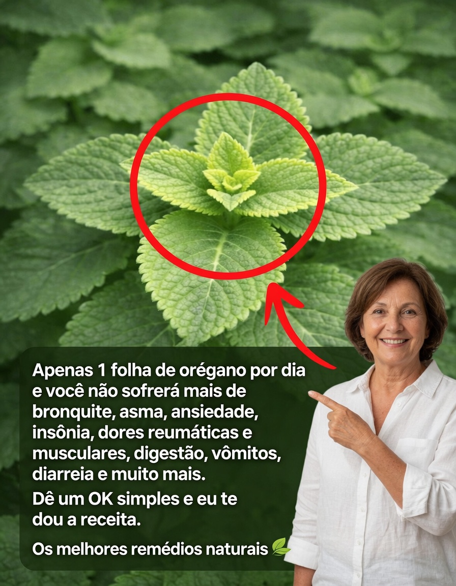 Orégano Orejón: Apenas 1 Folha por Dia para Apoiar sua Saúde Naturalmente