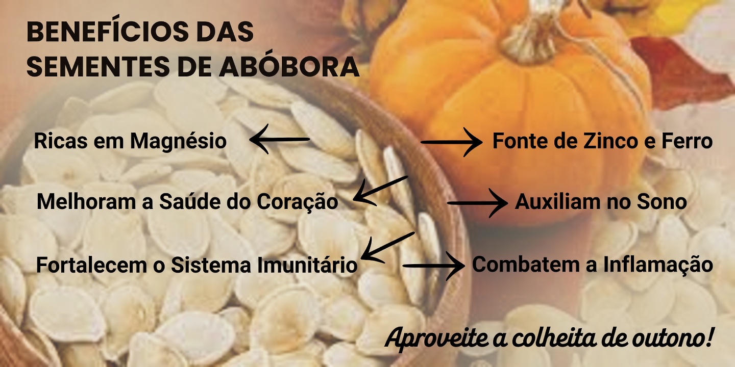 Coma Estas 3 Sementes Todas as Manhãs para Melhor Saúde, Mesmo à Medida que Envelhece