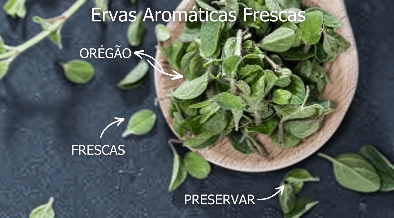 Orégano para a Saúde Ocular: Como Esta Erva Simples Pode Ajudar a Proteger Sua Visão Naturalmente