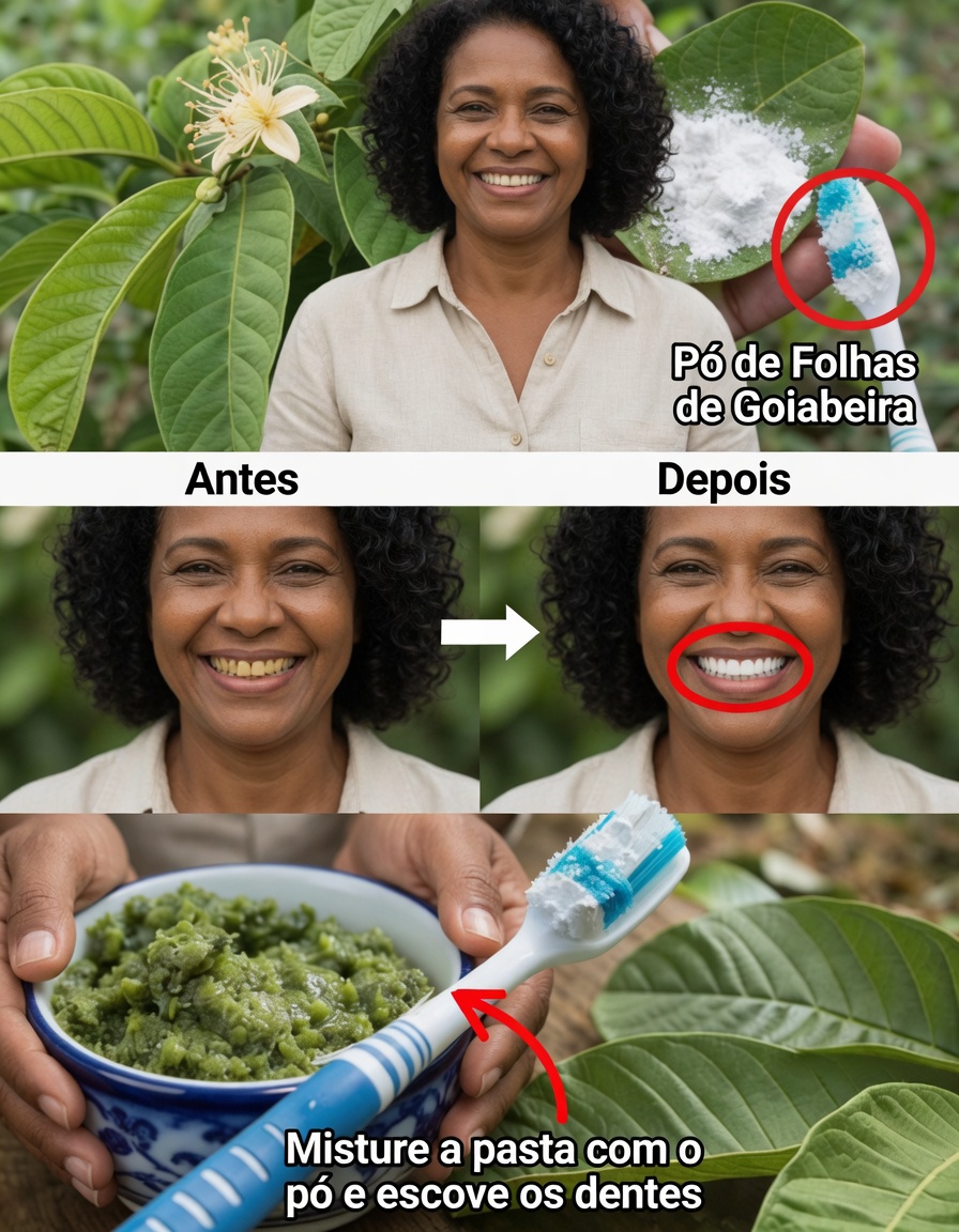 Top 3 Maneiras Simples Pelas Quais as Folhas de Goiabeira Podem Ajudar a Aliviar a Cárie Dentária e os Sintomas de Dor de Dente