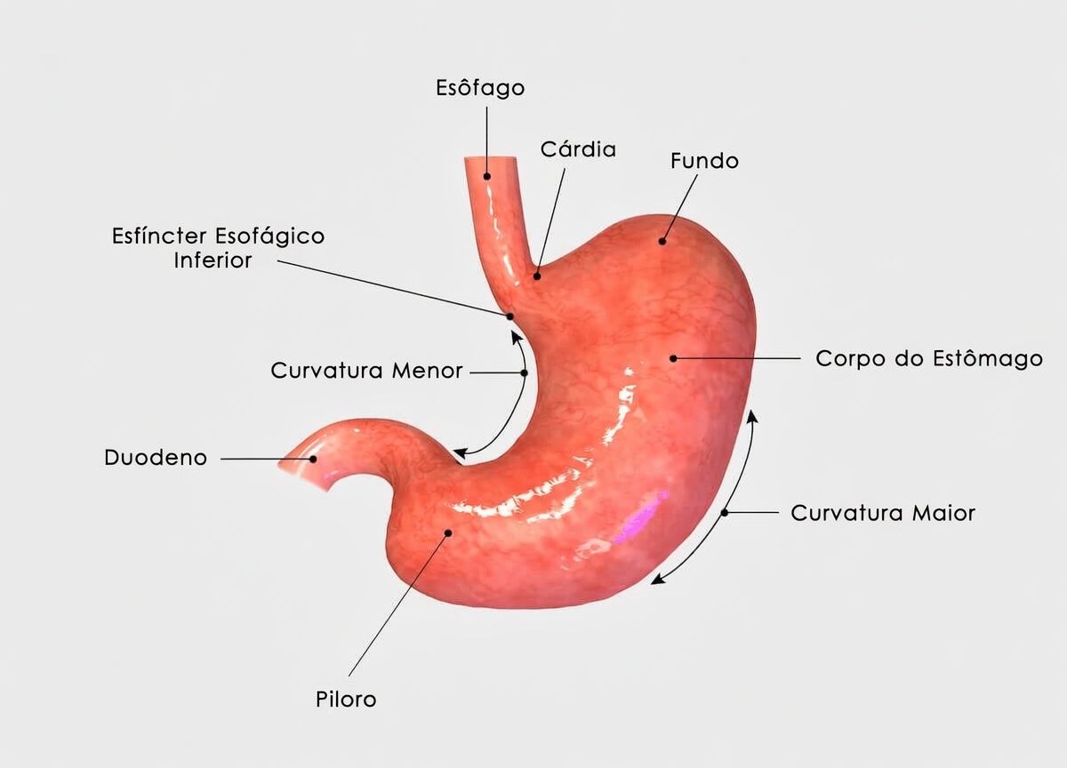 Como Comer Alho e Mel em Jejum por 7 Dias: Um Simples Ritual Matinal Natural
