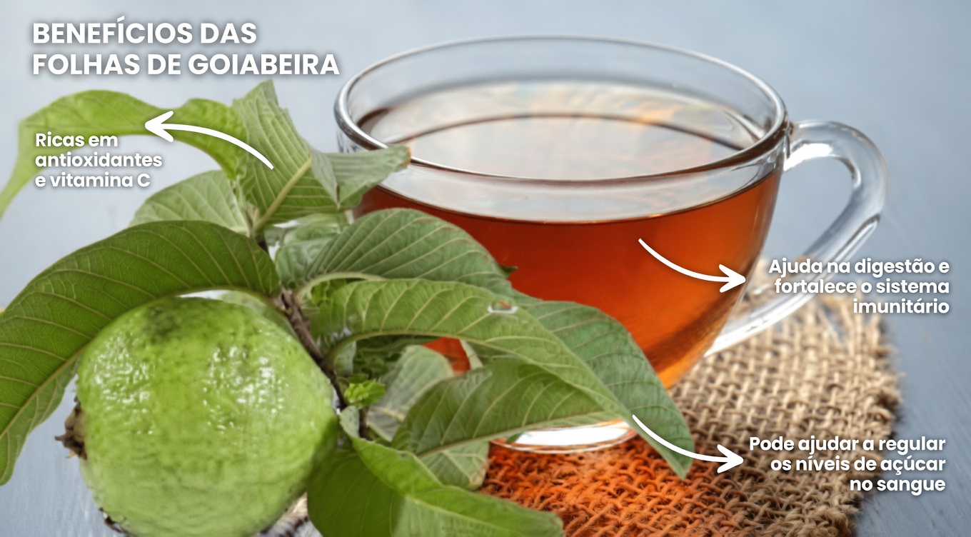 Benefícios das Folhas de Goiabeira: O Remédio Natural Esquecido que Você Não Deve Ignorar