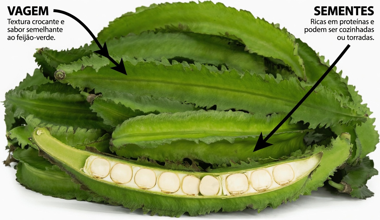 O Segredo do Feijão-Alado: Um Vegetal Simples com Grandes Benefícios para a Visão, a Imunidade e a Saúde do Coração