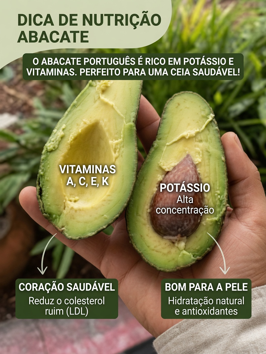 Benefícios para a saúde do abacate e das sementes de abacate comprovados cientificamente