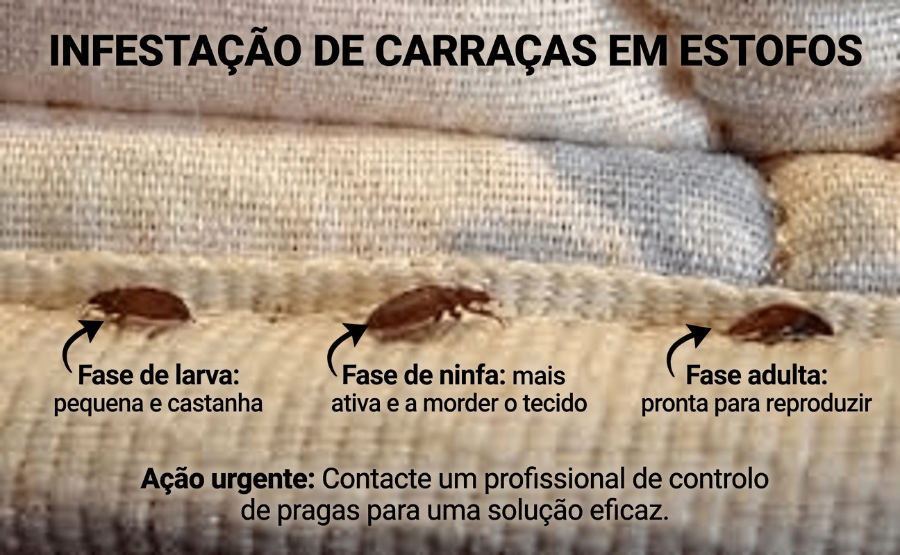 Como Eliminar Naturalmente os Pulgões do Seu Jardim Rapidamente com Remédios Caseiros Simples