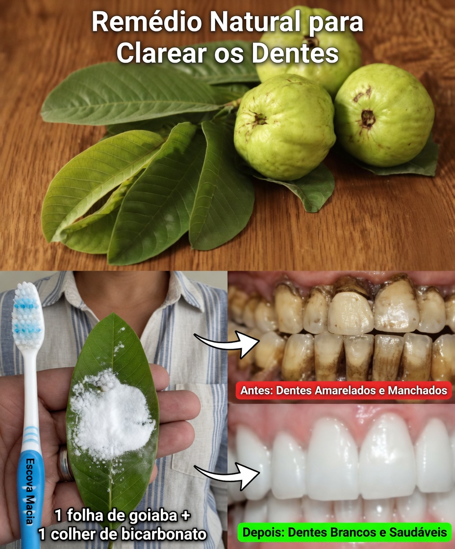 Como Clarear Naturalmente o Seu Sorriso com Folhas de Goiabeira: Um Remédio Caseiro Suave