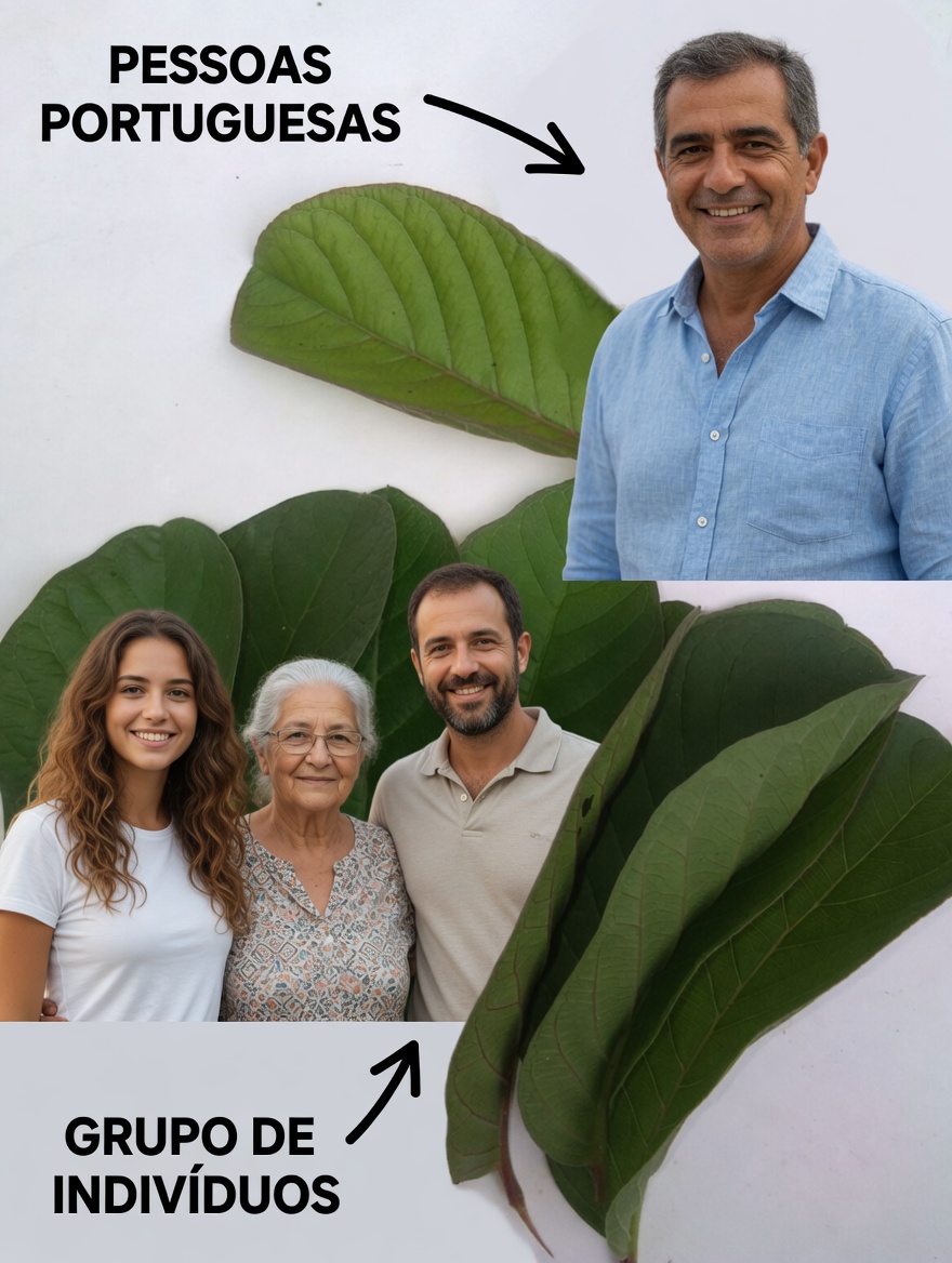 17 Benefícios Surpreendentes das Folhas de Goiabeira Que Você Nunca Soube – A Potência Natural Negligenciada Transformando a Saúde dos Americanos Acima de 40 Anos