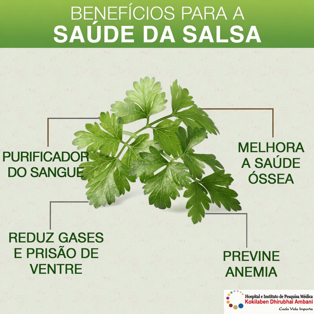 5 Folhas Essenciais para Melhorar Naturalmente a Saúde dos Seus Olhos