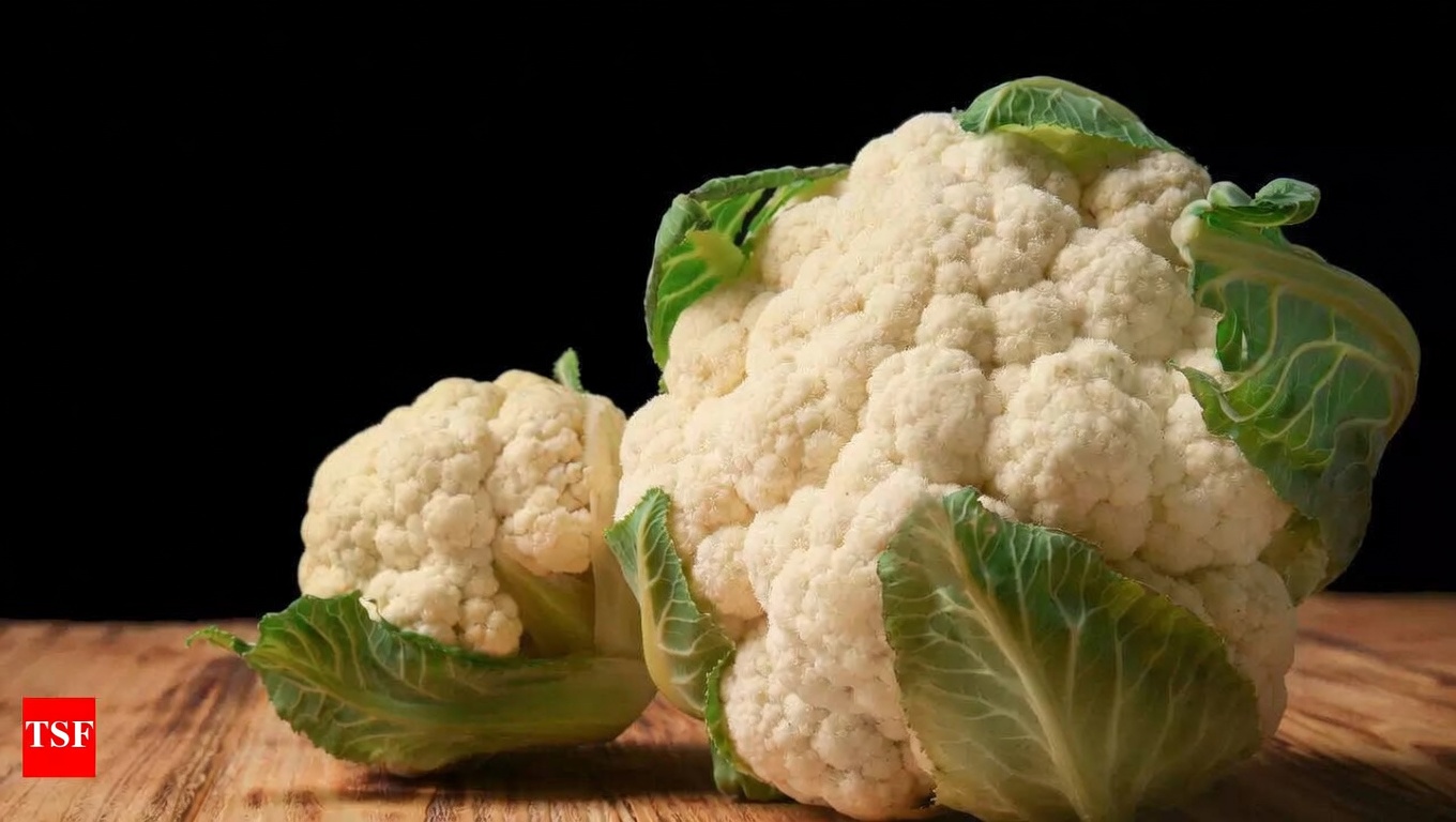 Top 10 Superalimentos que Podem Apoiar a Saúde Renal e Ajudar a Controlar a Proteinúria