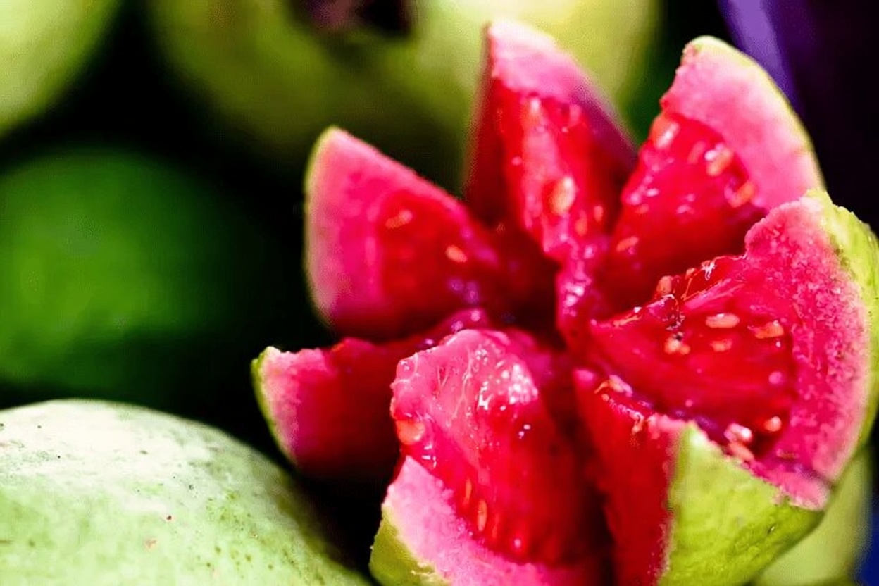 Como usar a goiaba para apoiar a saúde ocular — remédios naturais que você deve conhecer