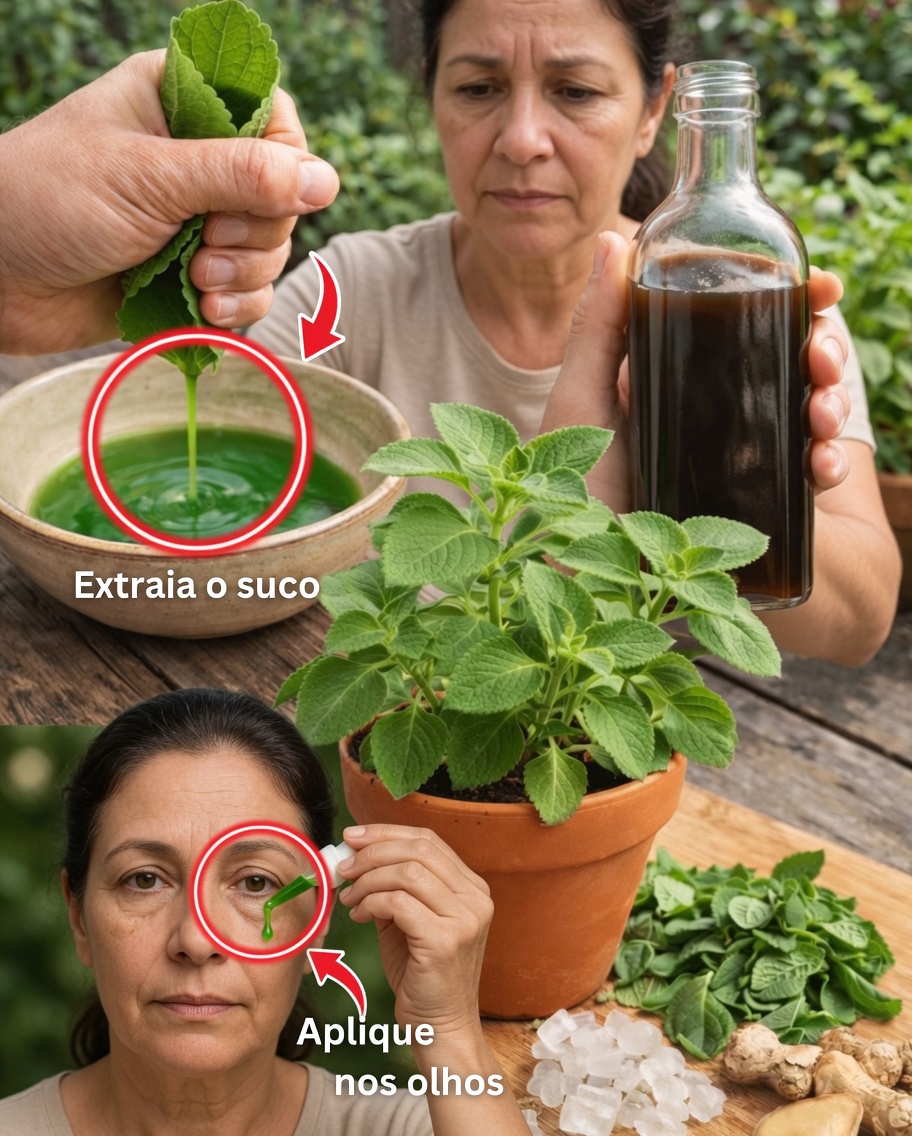 Orégano e Saúde Ocular: Será que essa Erva Pequena Pode Ajudar a Proteger sua Visão Após os 40?