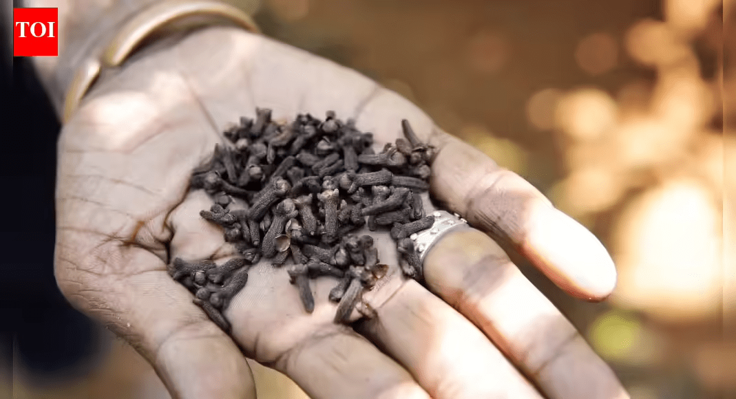 A Verdade Sobre Mastigar Cravos-da-Índia: 8 Erros Comuns que Podem Prejudicar sua Saúde