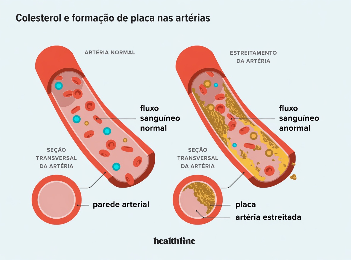 5 Causas Ocultas da Má Circulação Sanguínea