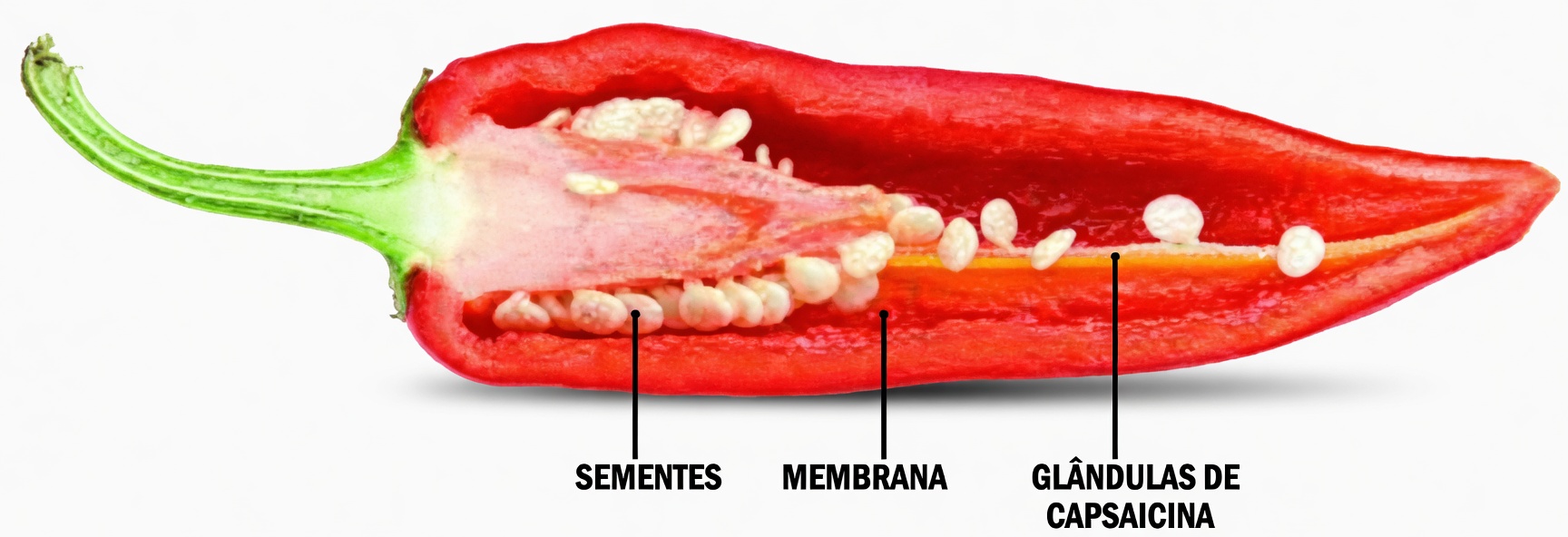 A capsaicina impede ataques cardíacos e destrói células cancerígenas