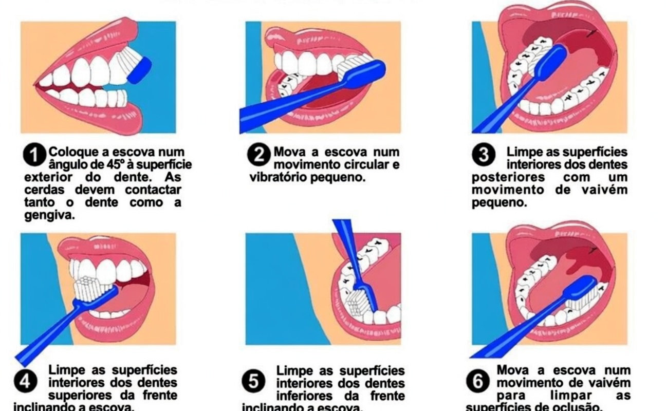 Dentes Saudáveis aos 80: Os Simples Hábitos Diários que Ajudam a Proteger Seu Sorriso Naturalmente