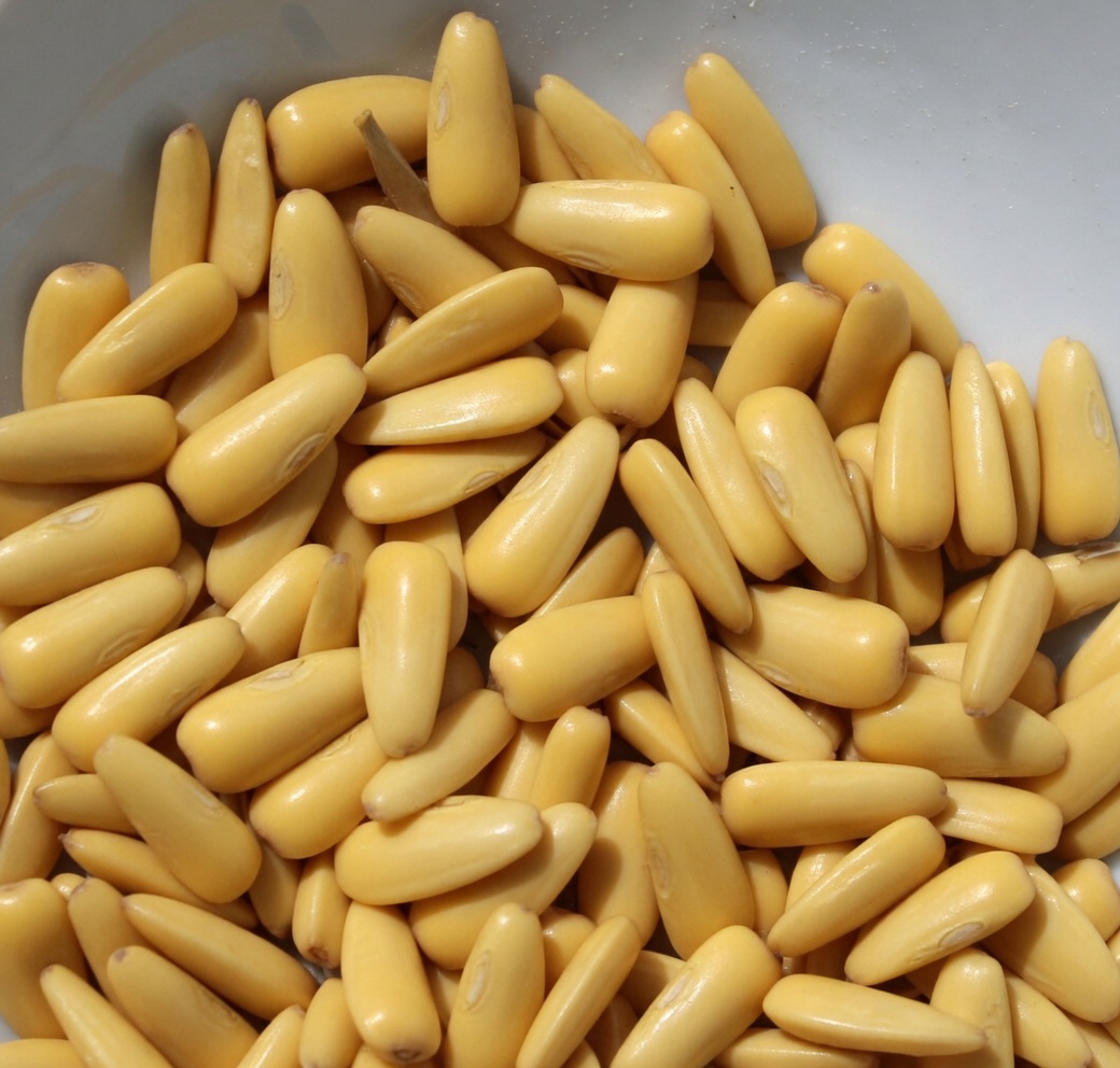 Idosos: 3 Sementes Minúsculas e Goiaba Podem Apoiar Naturalmente a Saúde dos Seus Olhos?