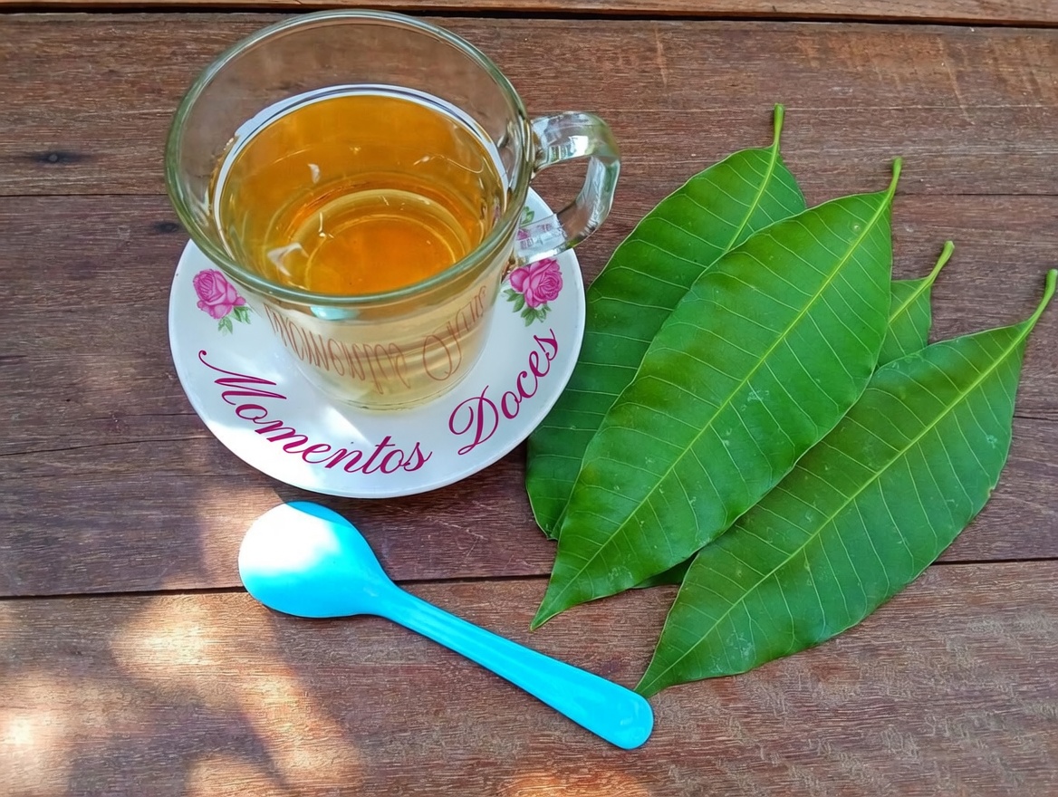 Folhas de Manga: Descubra Seus Benefícios Ocultos e Usos Faça Você Mesmo