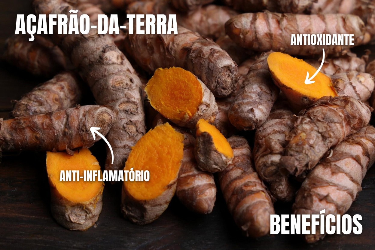 Uma Bebida Dourada Diária Poderia Apoiar o Envelhecimento Saudável Após os 50?