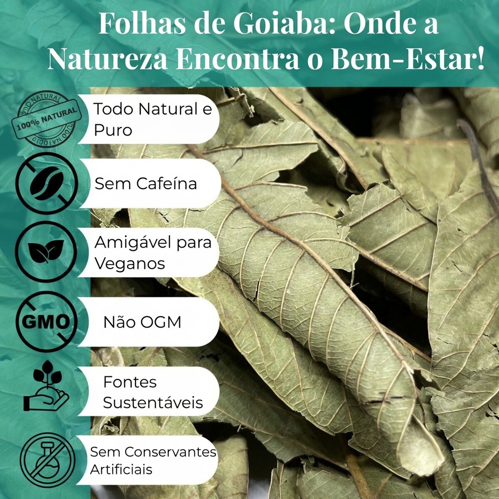 Alerta sobre o chá de folhas de goiabeira: por que muitos idosos estão começando este hábito diário