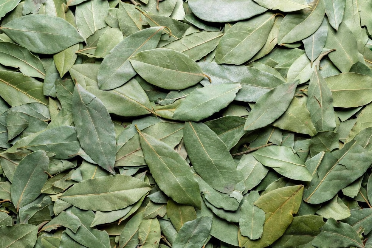 Por que as folhas de louro podem oferecer suporte natural ao bem-estar masculino