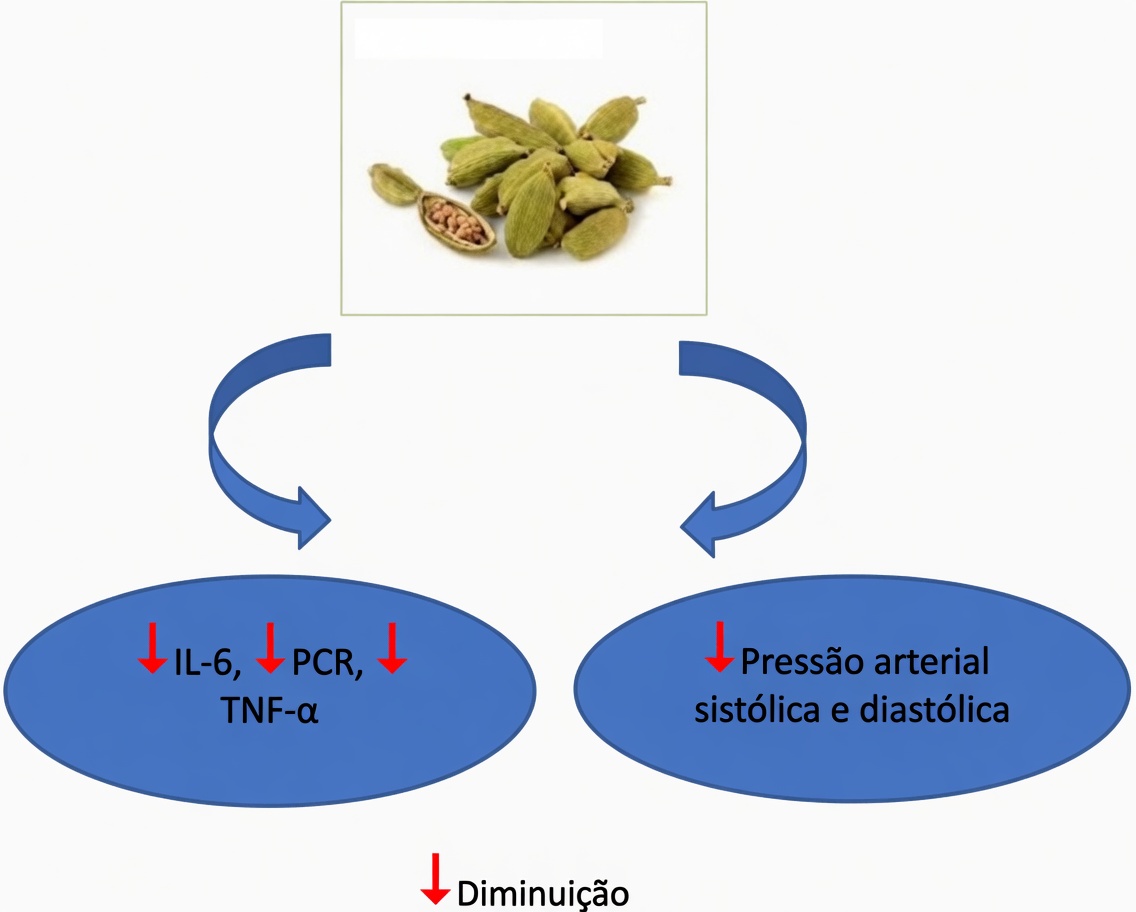 Benefícios Surpreendentes do Cardamomo: Descubra 18 Maneiras de Melhorar Seu Bem-Estar