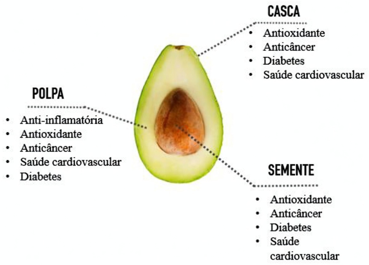 Benefícios do caroço de abacate: o remédio natural negligenciado para dores nas articulações e nas costas