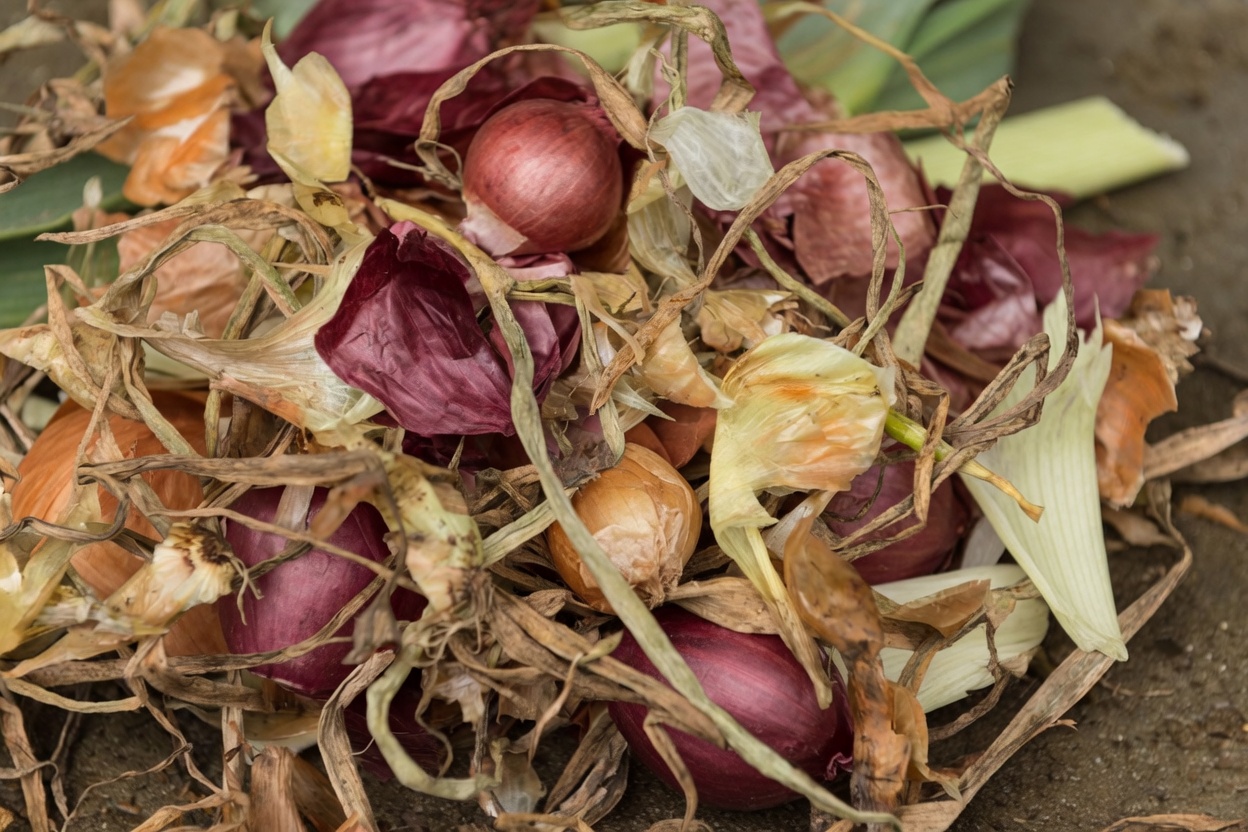 Chá de Casca de Cebola para a Bexiga e a Próstata: O Hábito Esquecido na Cozinha que Muitos Homens Mais Velhos Estão Redescobrindo