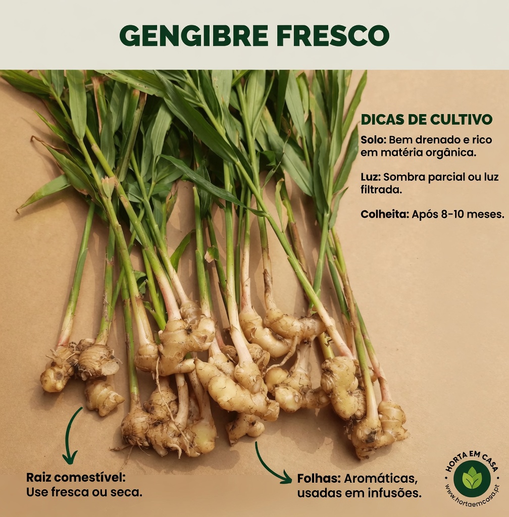 Bebida Natural para Ajudar a Aliviar o Catarro, Tosse Seca, Sinusite, Bronquite e Dor de Garganta