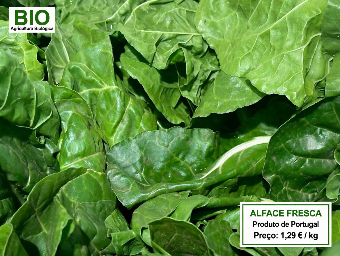 Top 5 Vegetais para Desintoxicar Suas Artérias e Prevenir Ataques Cardíacos!