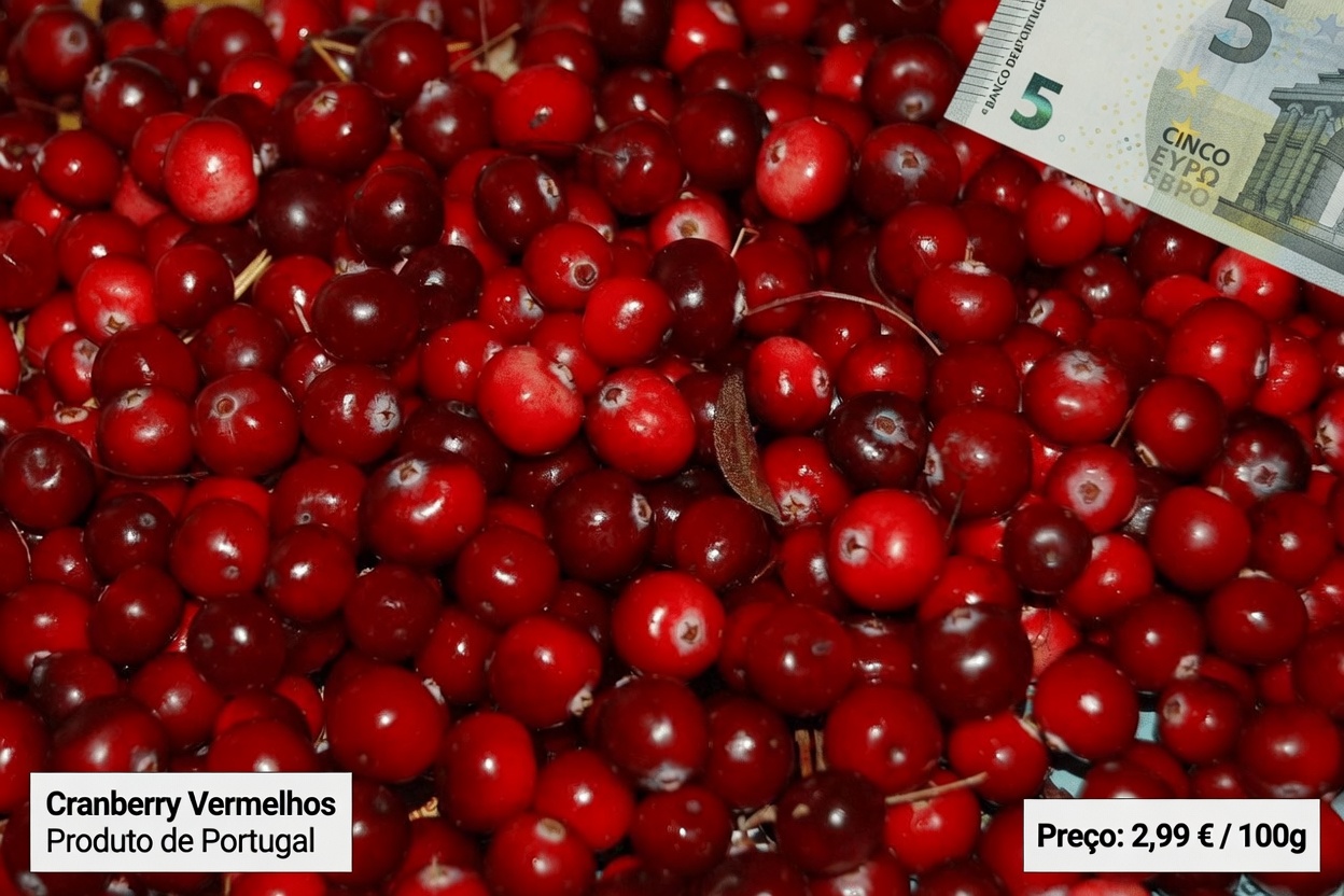 12 superalimentos que derrubam os níveis de creatinina como uma pedra e dão aos seus rins uma chance de lutar — mesmo que seu médico tenha acabado de dizer: “Está em alta”