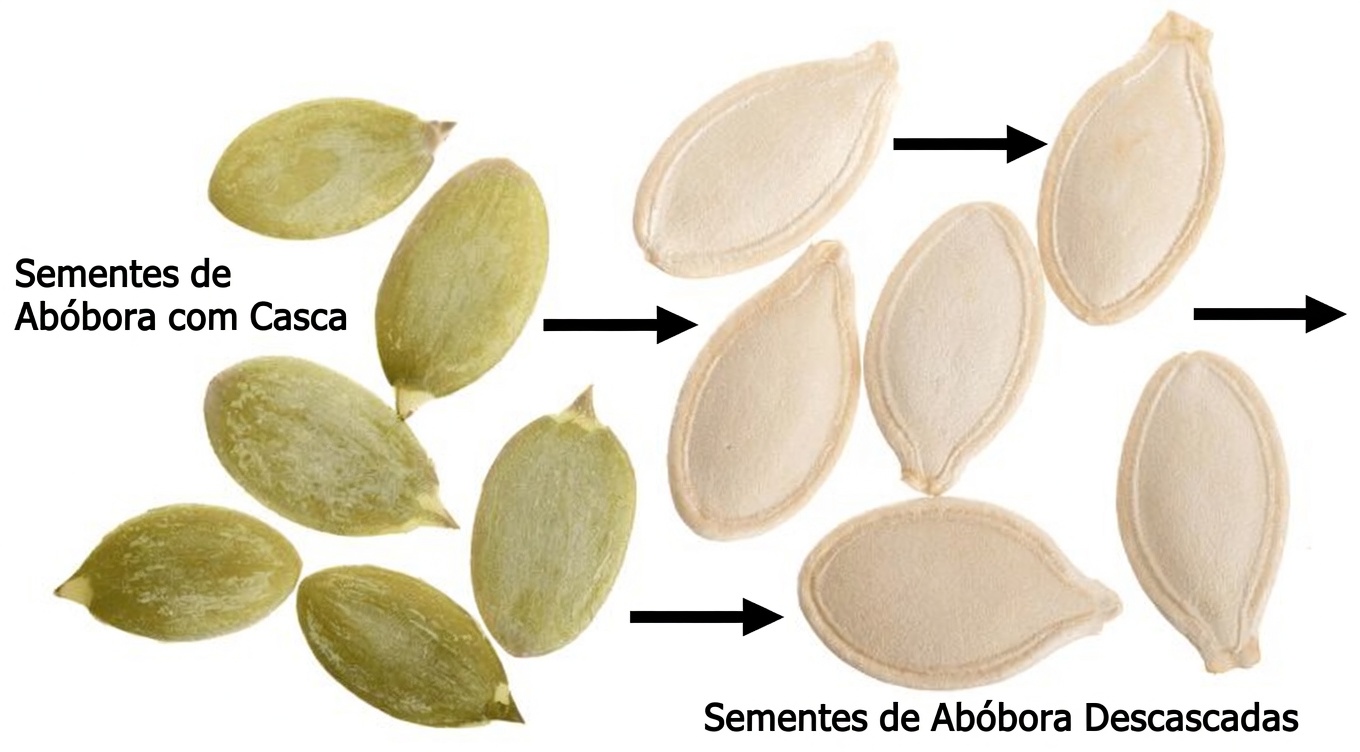 Ganhe Massa Muscular Depois dos 70: ESTA SEMENTE Funciona Melhor do que Ovos! 6 Potências Comprovadas