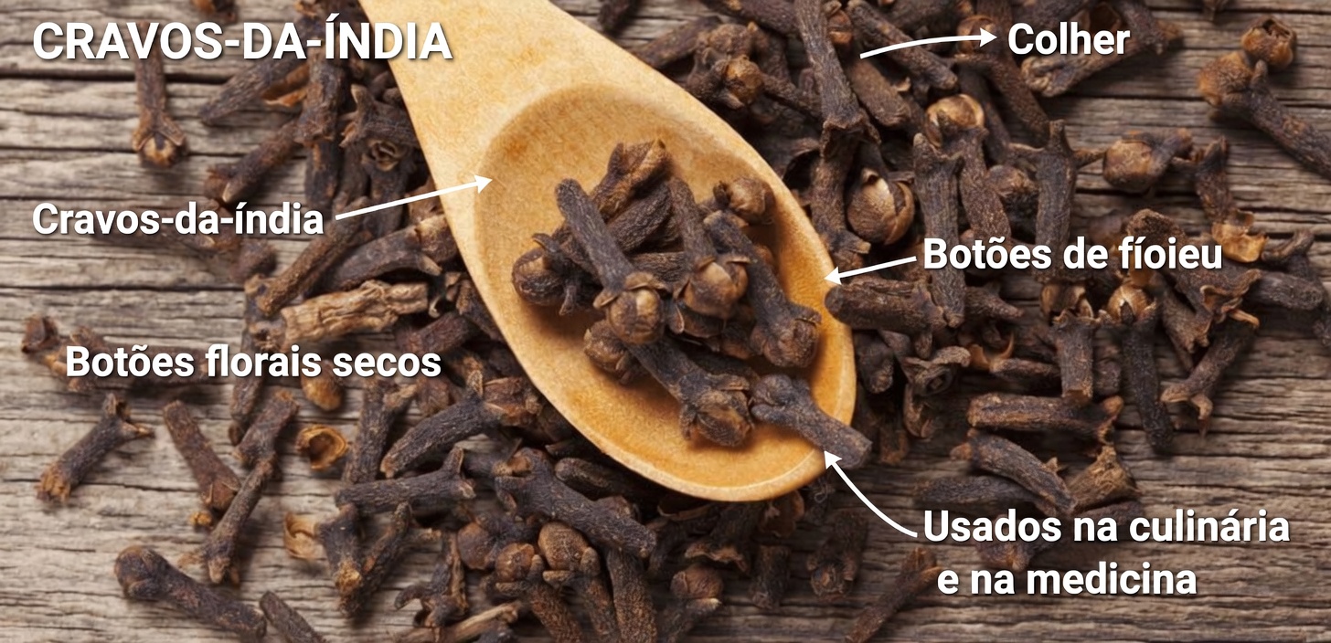 O Erro Comum Número Um ao Mastigar Cravos-da-Índia e Como Evitá-lo para um Uso Mais Seguro