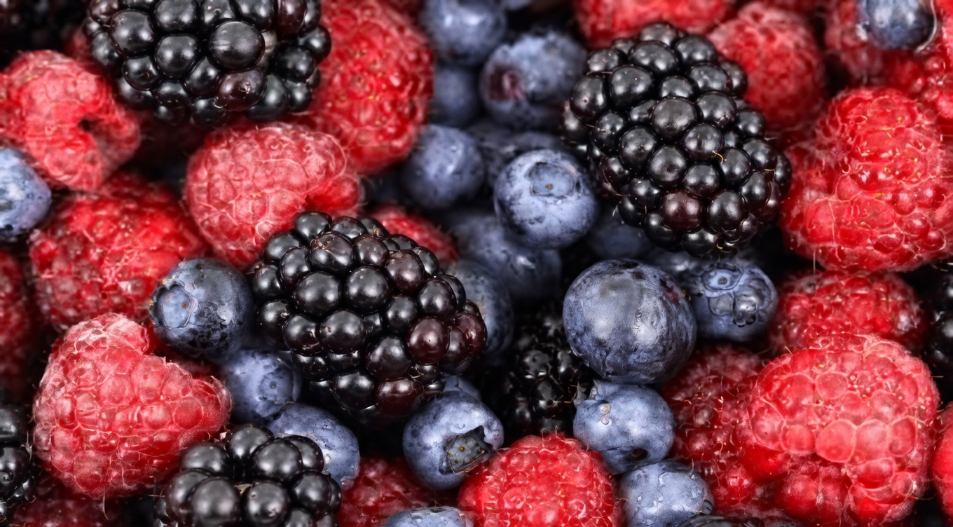 Nenhum Paciente RENAL Deveria Jamais Enfrentar a Perda de Função Novamente: 15 Hábitos Matinais Poderosos para Apoiar a Saúde dos Rins e Potencialmente Retardar o Declínio