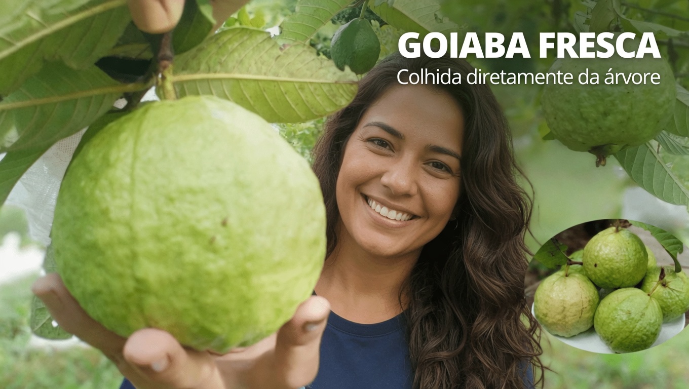 Goiaba: Desbloqueie uma Visão Cristalina com o Superfruto Oculto da Natureza